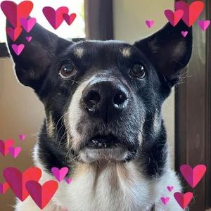 Meet your Posher, Diane